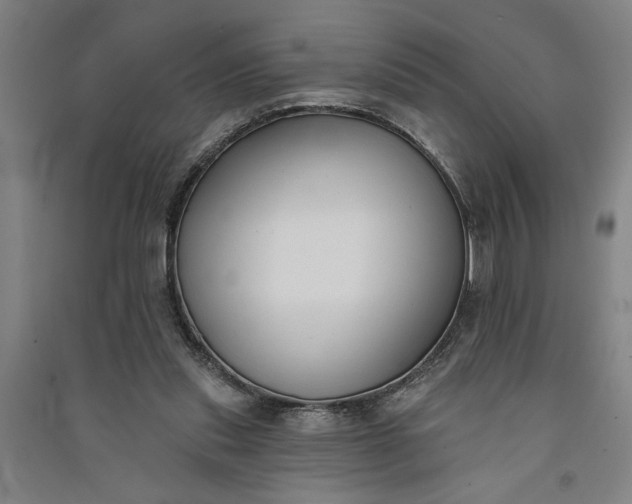 X0000091070253200708201416