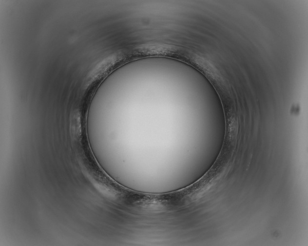 X0000091070254200708201416