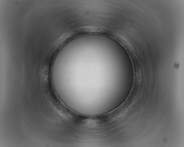 X0000091070255200708201416