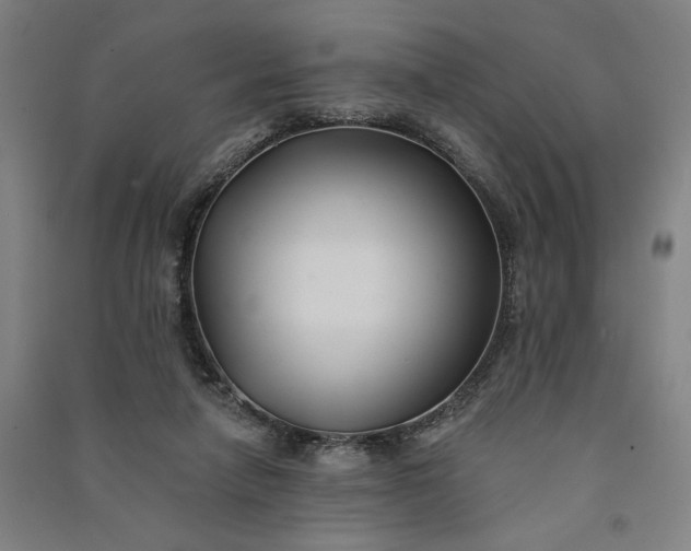 X0000091070258200708201416