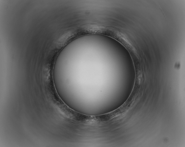 X0000091070259200708201416