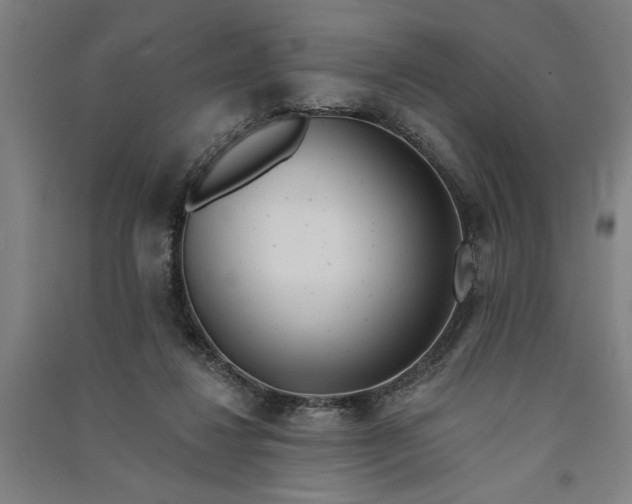 X0000091070260200708201416