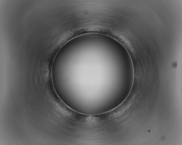 X0000091070261200708201416