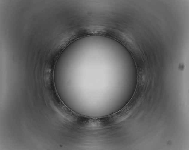 X0000091070263200708201416