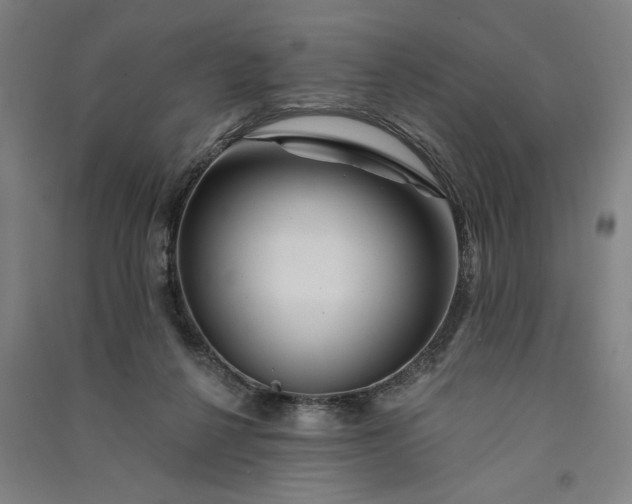 X0000091070264200708201416