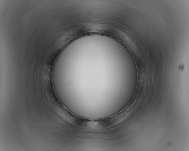 X0000091070265200708201416