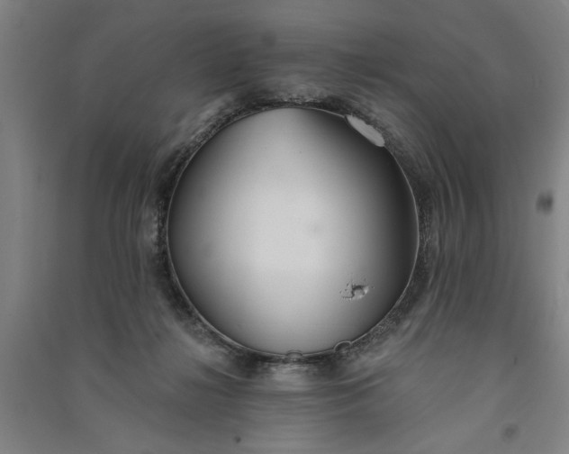 X0000091070268200708201416