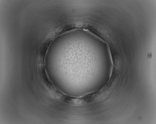 X0000091070272200708201416