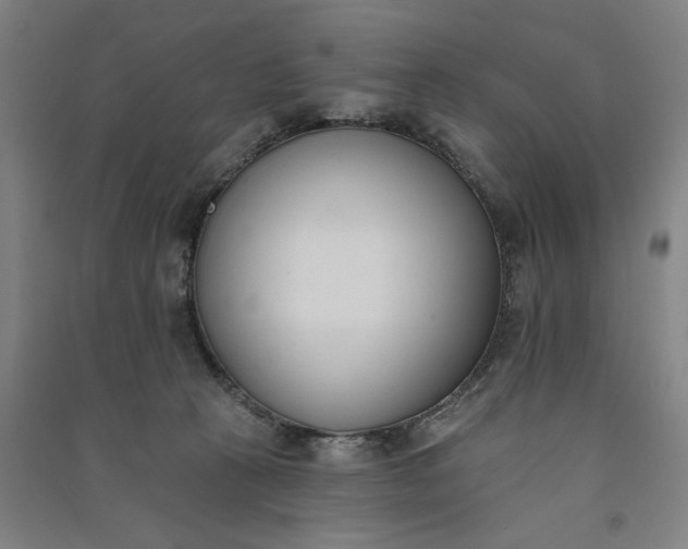 X0000091070273200708201416