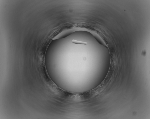 X0000091070276200708201416