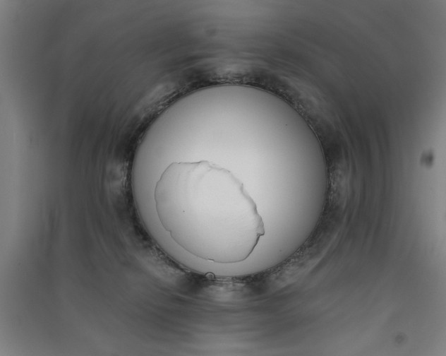 X0000091070278200708201417