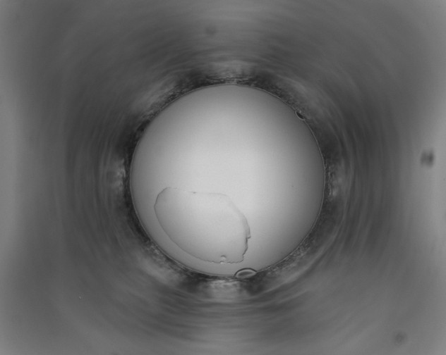 X0000091070279200708201417