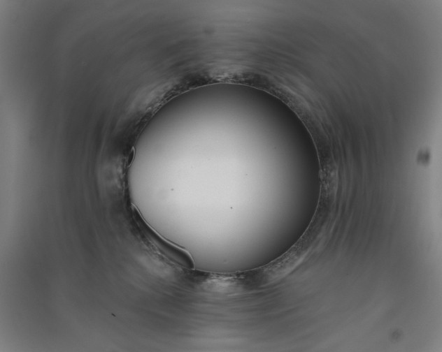 X0000091070280200708201417