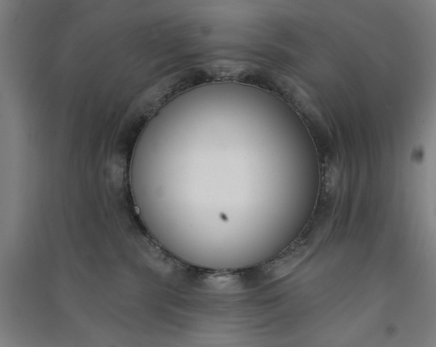 X0000091070283200708201417