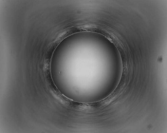 X0000091070284200708201417