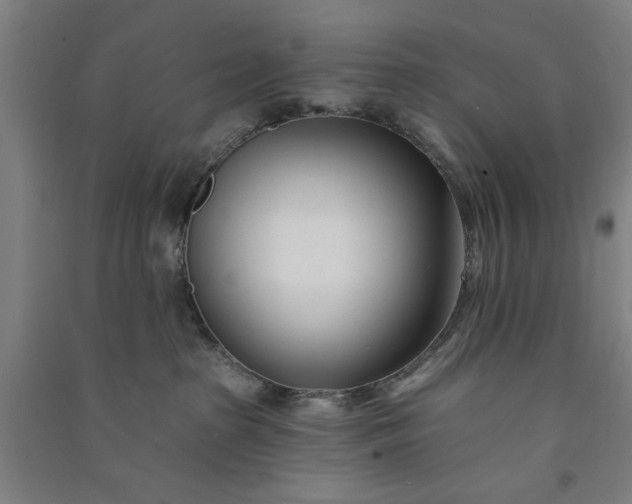 X0000091070285200708201417