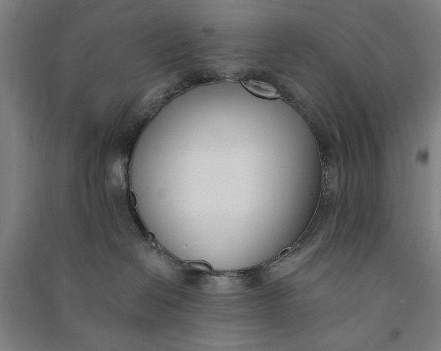 X0000091070286200708201417