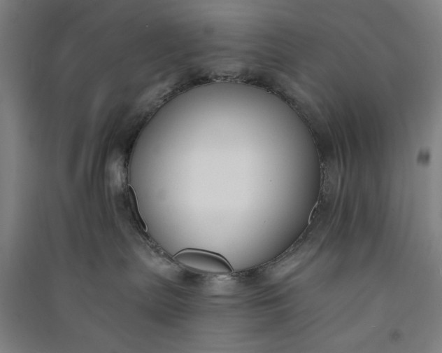 X0000091070287200708201417