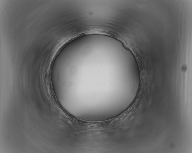 X0000091070289200708201416