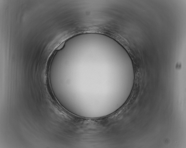 X0000091070290200708201416