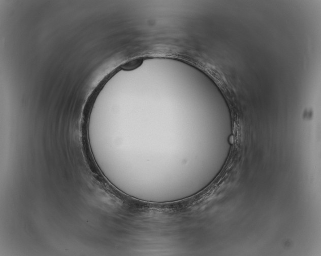 X0000091070292200708201416