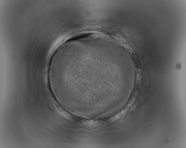 X0000091070293200708201416