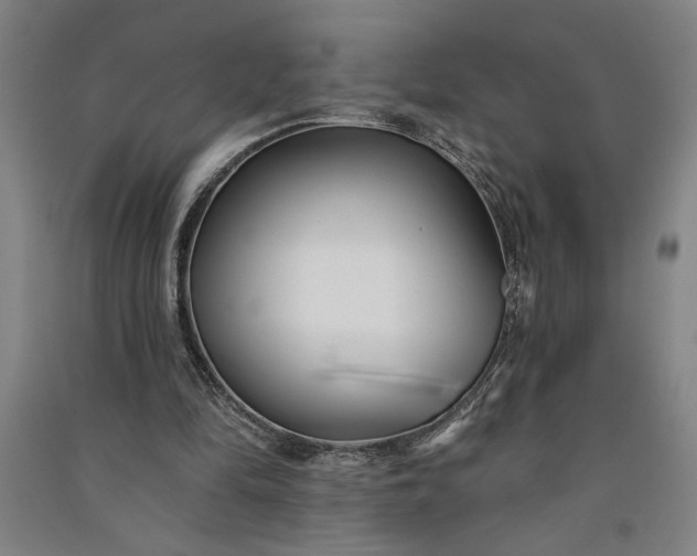 X0000091070294200708201416