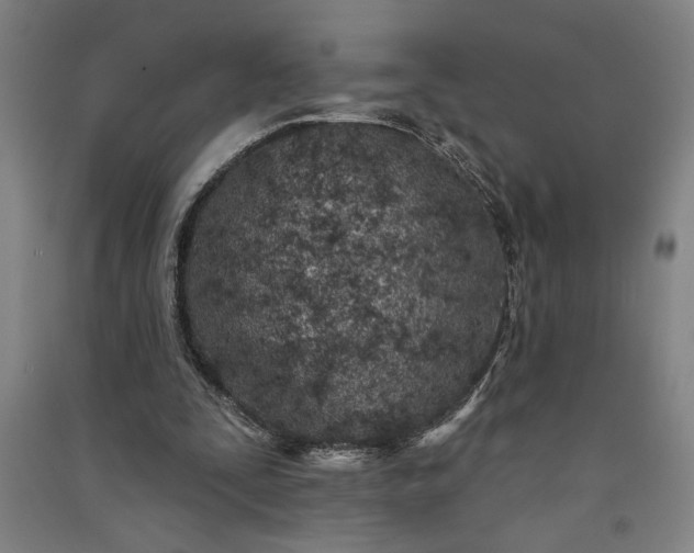 X0000091070295200708201416