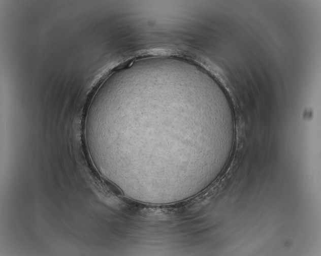 X0000091070297200708201416