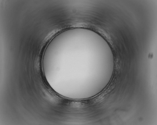 X0000091070298200708201416