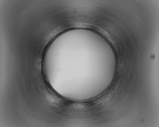 X0000091070299200708201416