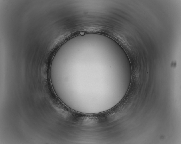 X0000091070303200708201416