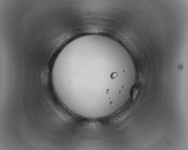 X0000091070304200708201416