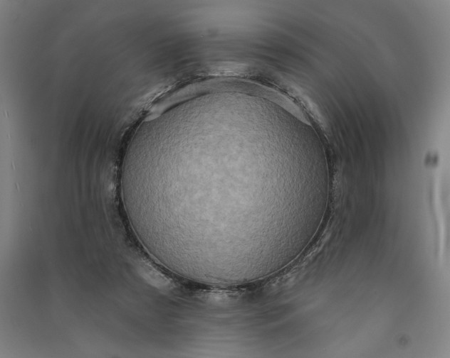 X0000091070305200708201416