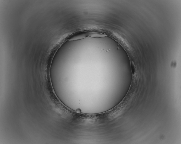 X0000091070306200708201416