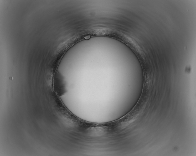 X0000091070307200708201416