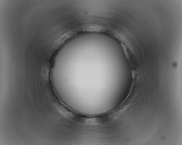 X0000091070309200708201416