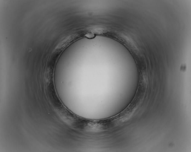 X0000091070311200708201415