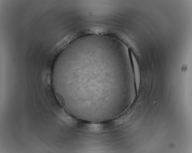 X0000091070313200708201415