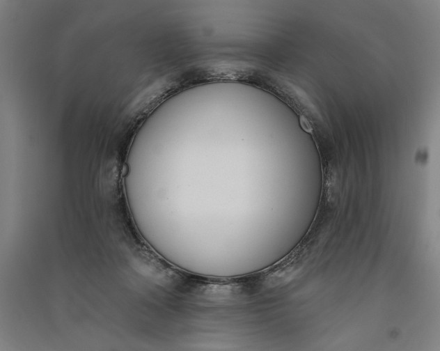 X0000091070314200708201415