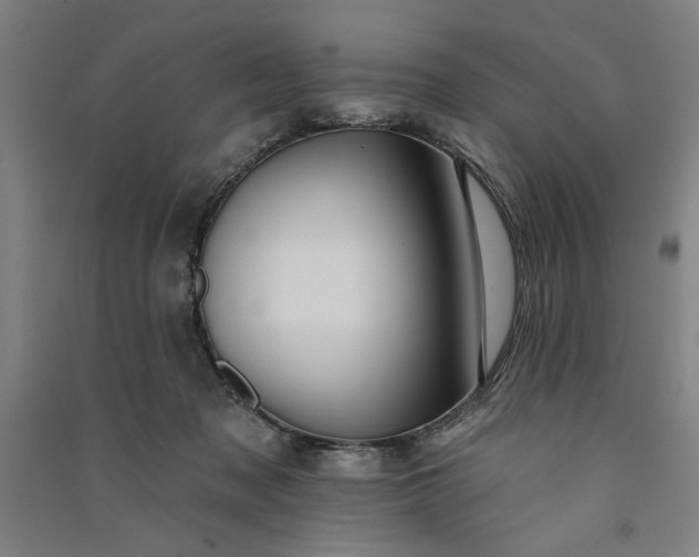 X0000091070317200708201415