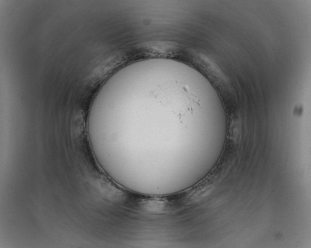 X0000091070318200708201415