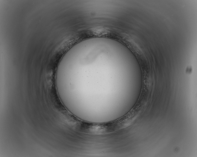 X0000091070319200708201415