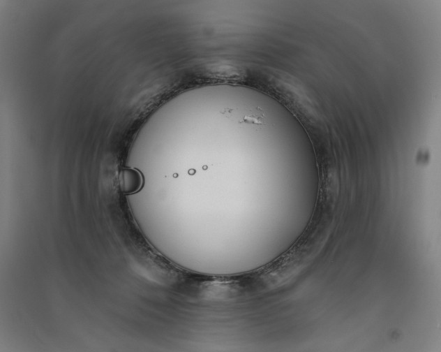 X0000091070320200708201415