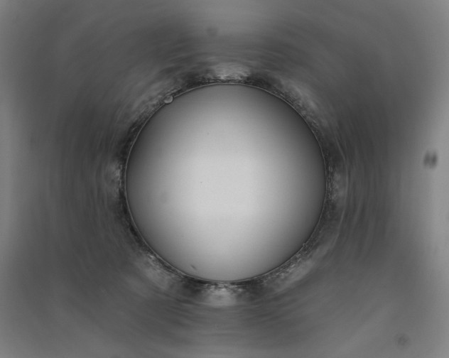 X0000091070321200708201415