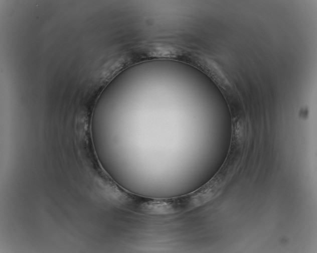 X0000091070322200708201415