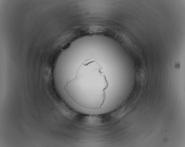 X0000091070327200708201415