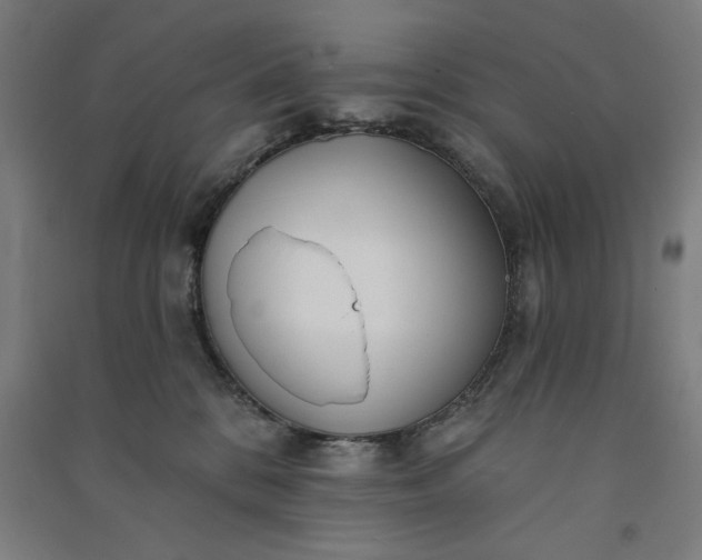 X0000091070328200708201415