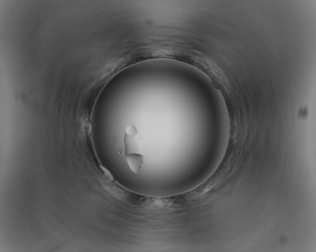 X0000091070329200708201415