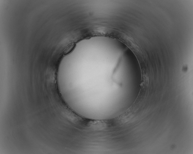 X0000091070331200708201415